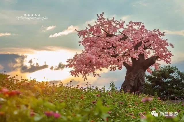 去新昌这七个村落，邂逅最美“村”色！