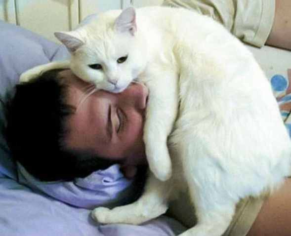 为什么有的人天生就会被猫咪亲近呢?