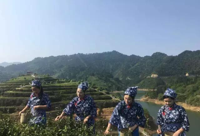 重庆之声调频广播直播万盛全域旅游