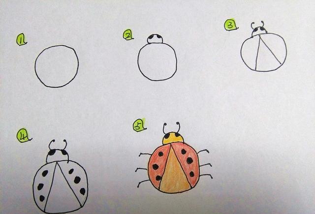 跟孩子一起轻松绘画可爱小动物(14种小动物附带教程)