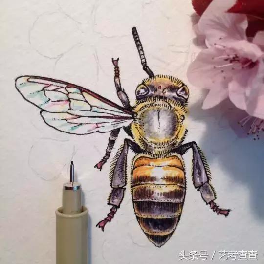 简单易学的针管笔植物手绘, 超适合初学者!