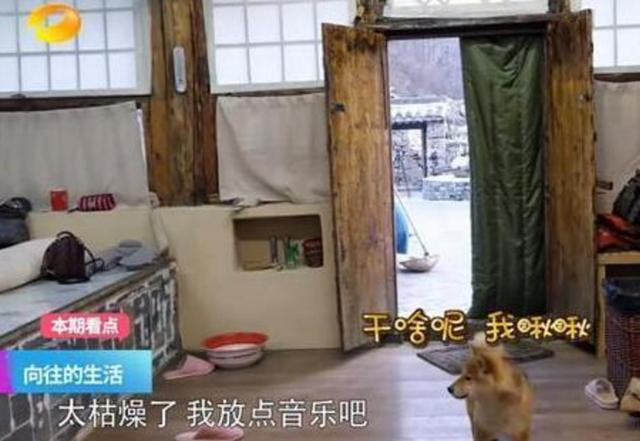 《向往的生活》拍摄地，传统的农村四合院，住着比豪宅还舒适