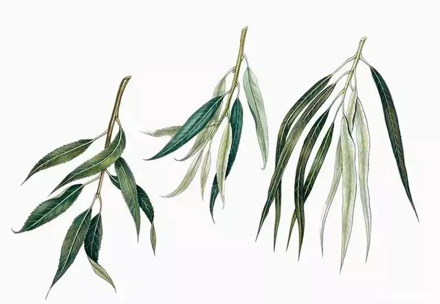 过敏了该咋办?南阳市第一人民医院过敏原检测