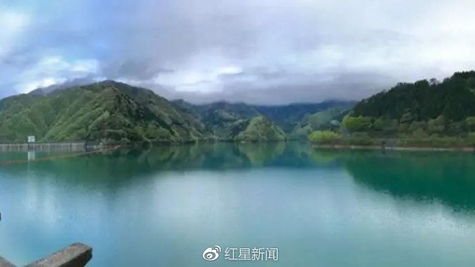 红星新闻的看点主页_新浪看点