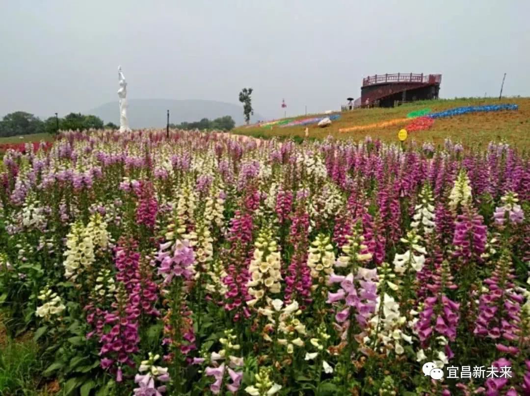 这个小长假到哪儿浪?宜昌周边最好玩儿的地方