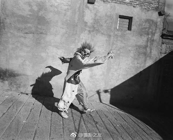 人与野兽,马戏团里的故事 | Mary Ellen Mark