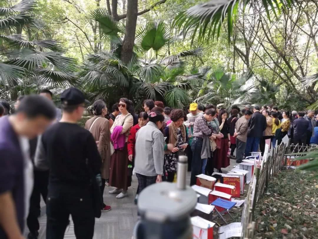 清明赏花的宜宾嬢嬢些，你们妖娆的纱巾美到我了！