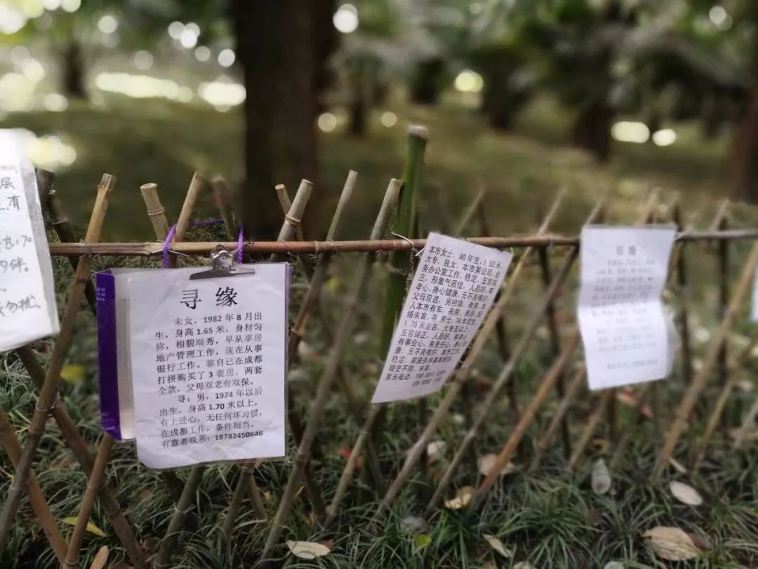 清明赏花的宜宾嬢嬢些，你们妖娆的纱巾美到我了！