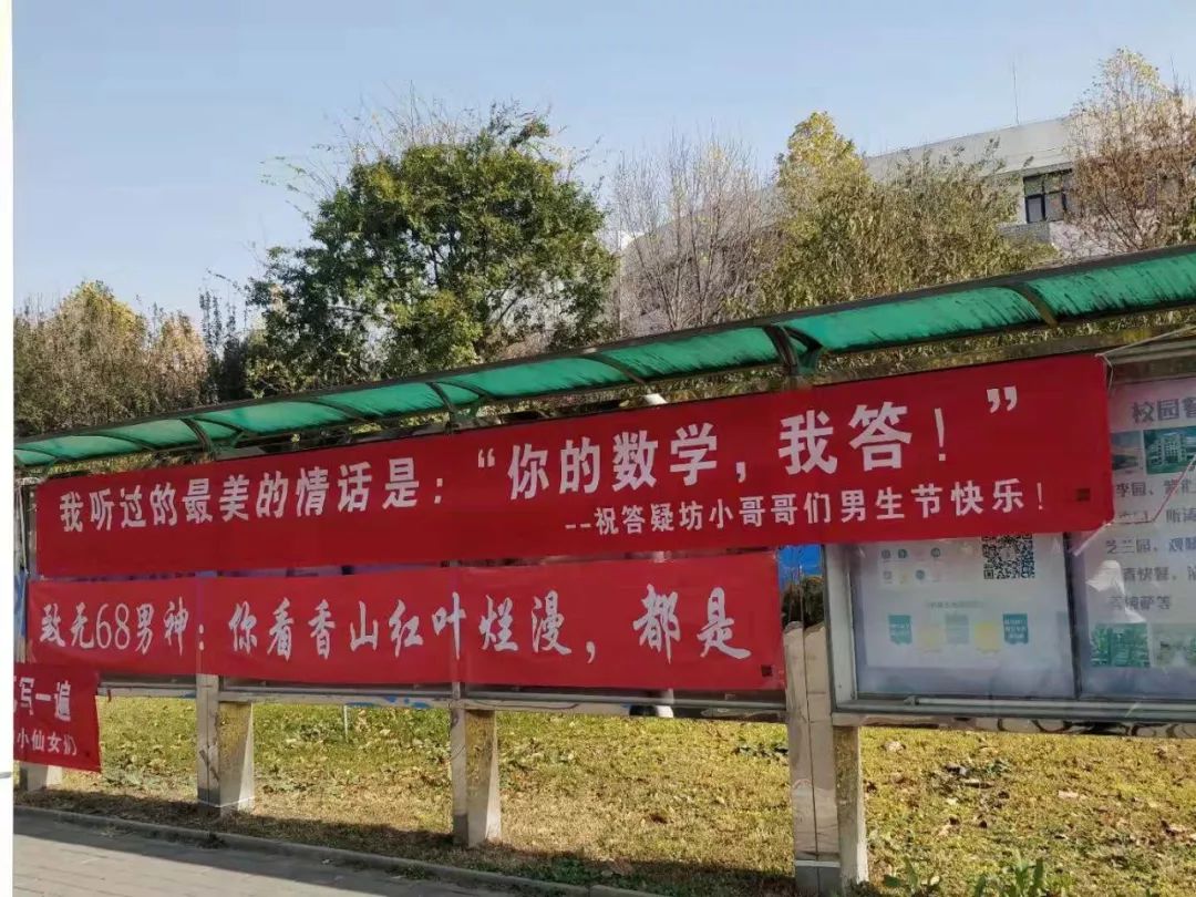 清华大学"双11"节日里,女生给男生的横幅标语,有才