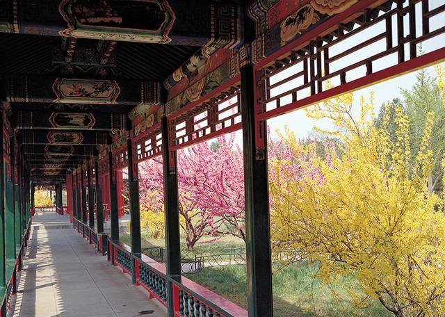 真开眼了!四合院房屋类型详解,满满都是文化!