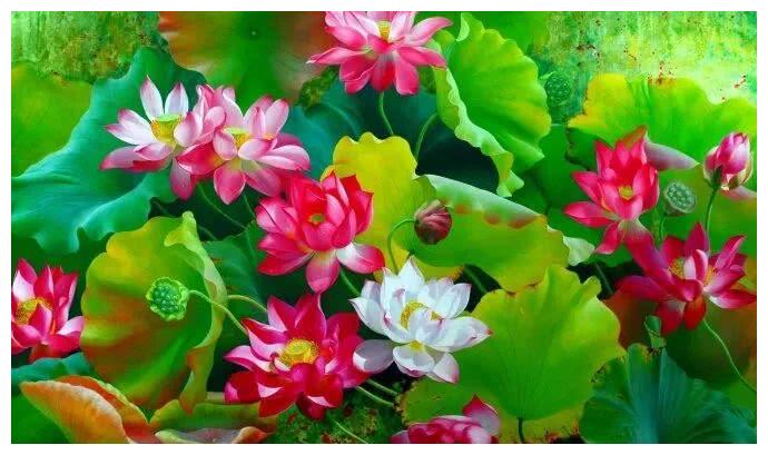 吴富荣油画荷花作品