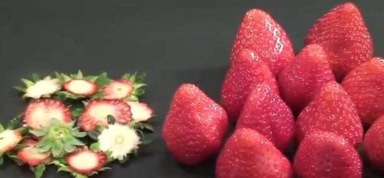 米其林厨师把草莓做成“分子草莓”，价格翻数倍，网友闲得慌