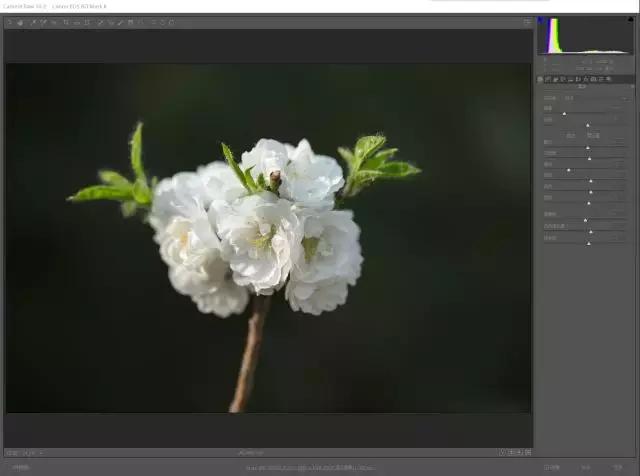 JPG和RAW,如何选择合适的照片格式