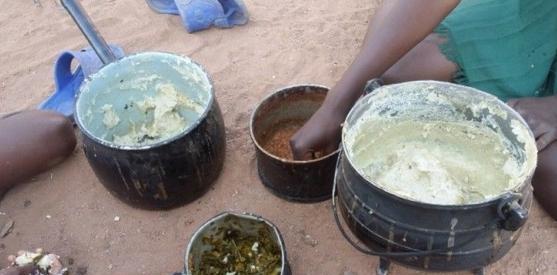 直击: 津巴布韦穷人的真实生活, 宁愿吃蛇虫鼠蚁