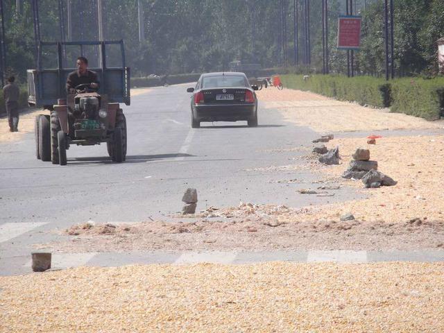 公路沦为晒谷场,豪车失控撞死人!当地农民:我没