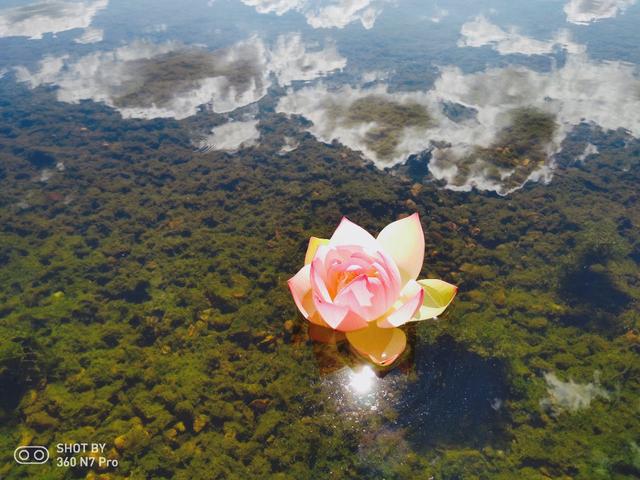 辣妈晒美照,就是为了测试360N7 Pro的拍照效果