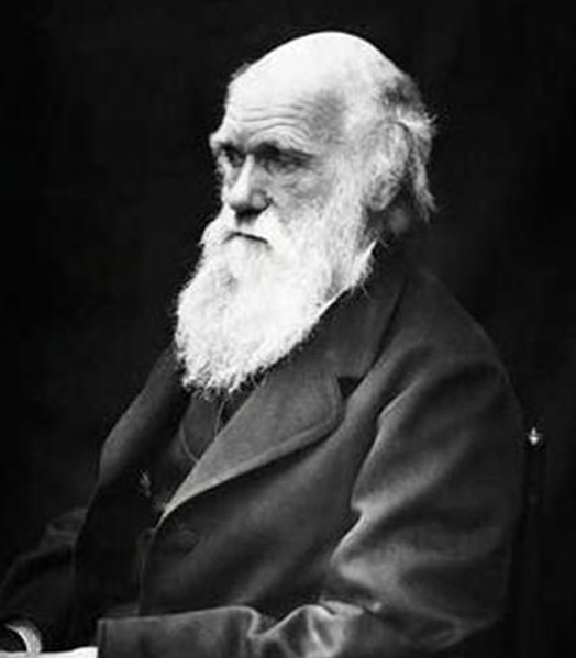 盘点那些近亲结婚产生的世界天才,个个名垂青