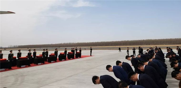 我部飞机两架,奉命为你全程护航!