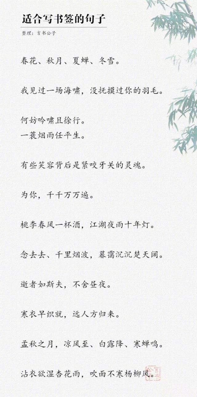 潇洒的茸毛造型