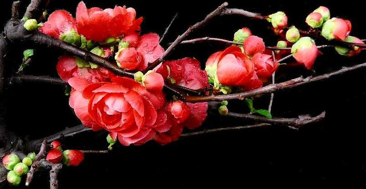 观点:高考对我们最大用处是多一种生活选择!