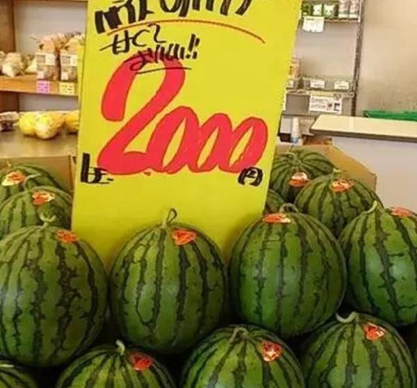 日本西瓜卖300元一个, 吃前还需要撒盐