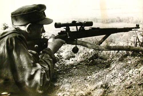 二战德国和美国分别代表着轴心国和同盟国的最