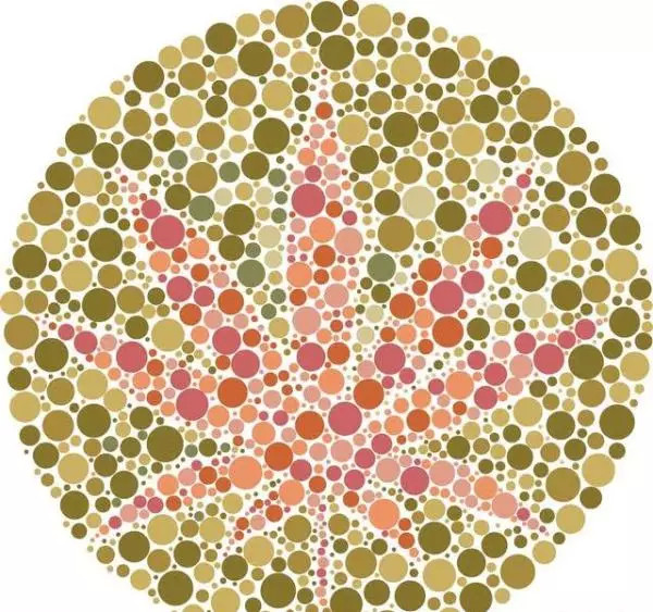 7张色盲色弱测试图,从简单到困难,看看你能看到第几张?