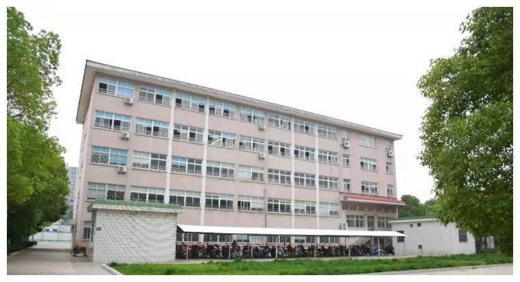 《101》杨超越被记者追到家乡了解到初中没毕