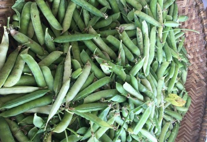 这种豆子我们叫它“雪豆”，生吃最美味啦!在你的家乡叫什么呢?