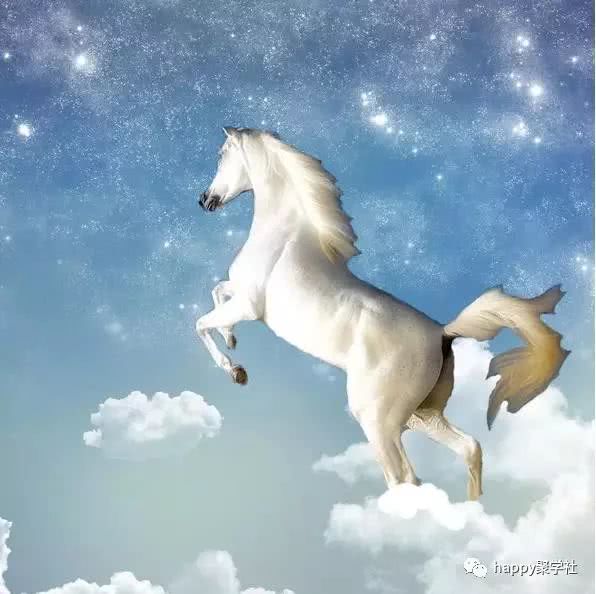 4,这匹白马奔驰在天空下很帅气啊!那么暗示的是哪个成语呢?