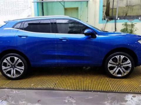 贵州一男子花18万买长城WEY，12000公里后晒油耗！网友：这么点