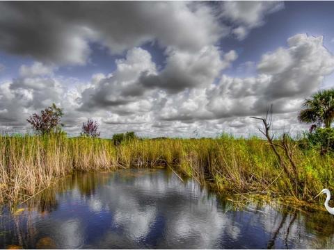 为什么我们离不开泥炭沼泽？...