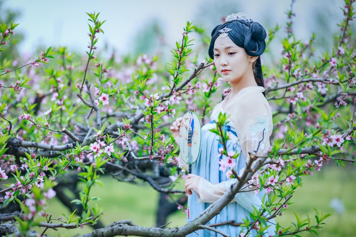 梨花开,春带雨。梨花落,春入泥