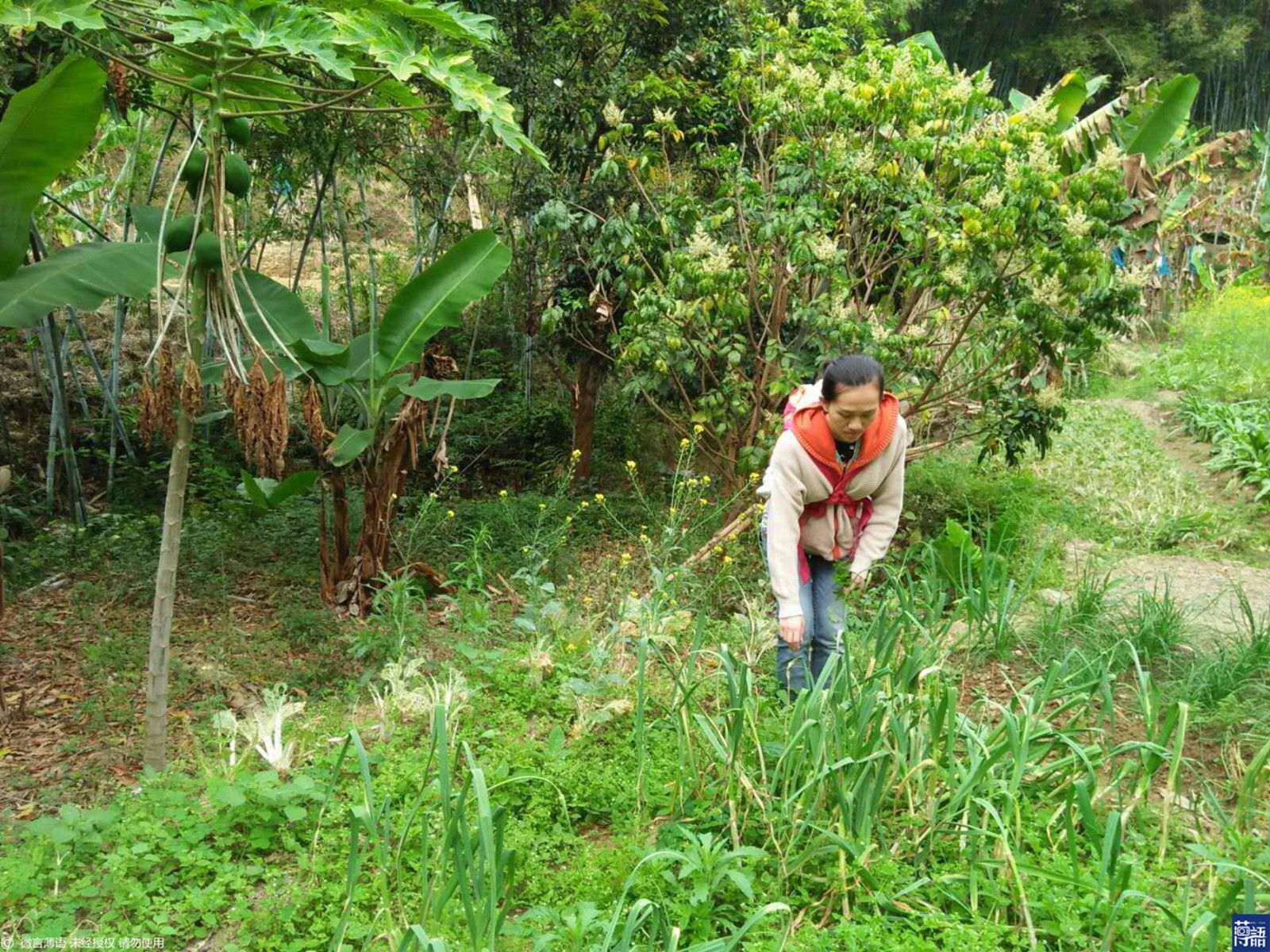 漂亮宝宝头大变“外星人” ,妈妈心碎欲跳楼,不敢出门怕吓到人