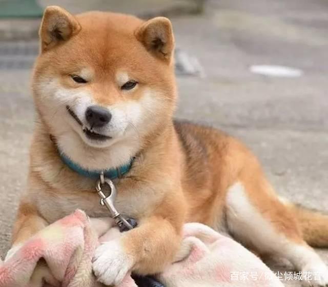 开心一刻 生平第一次去她家 刚到WIFI就连上了