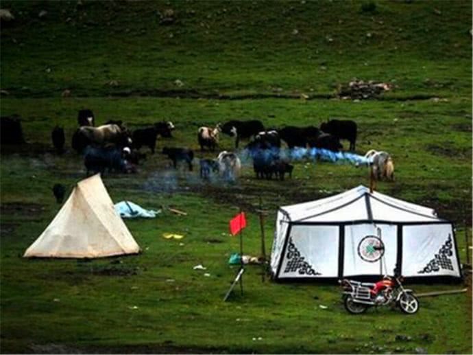 去西藏,路边的白帐篷千万别进,可能就回不来了!