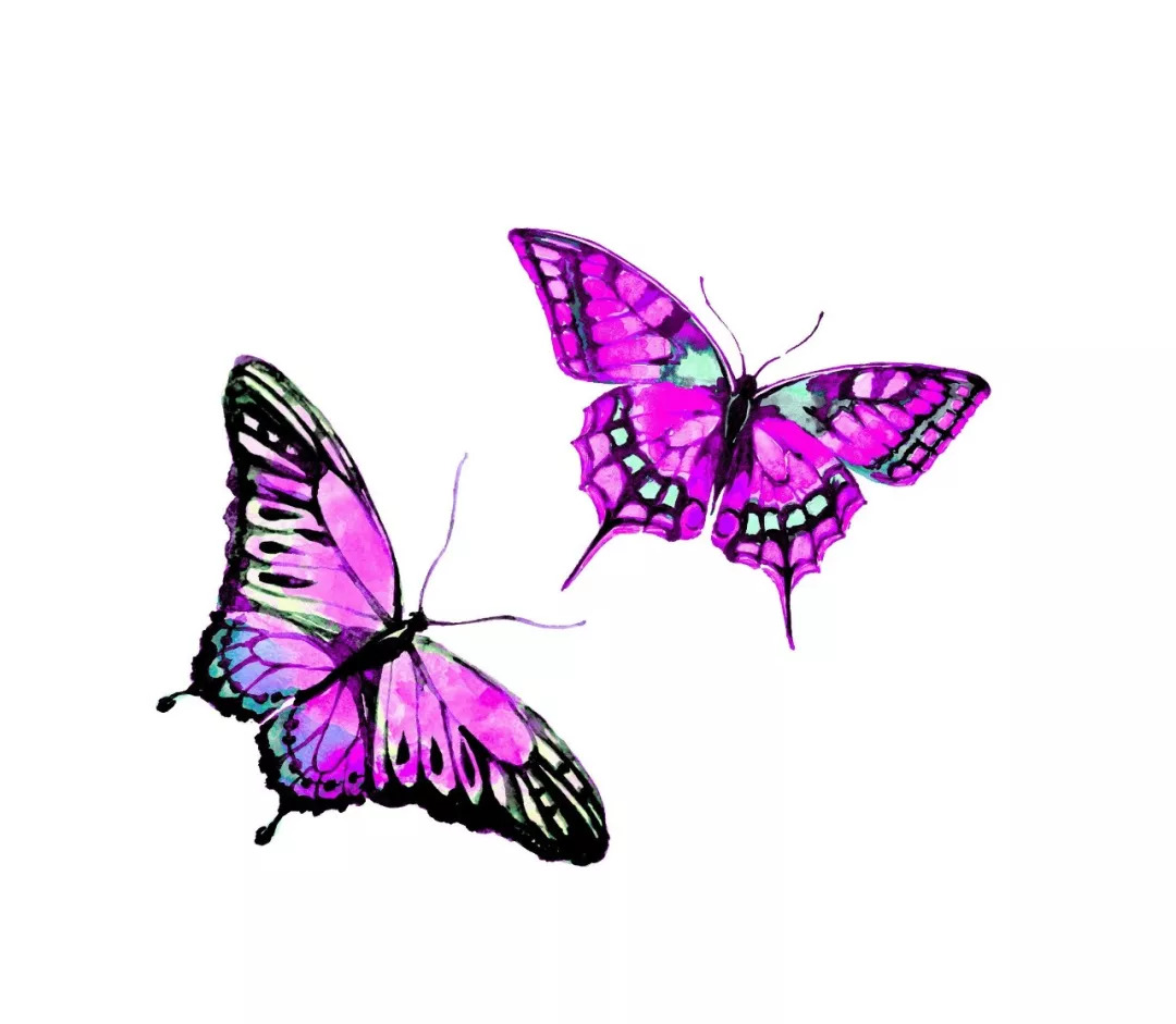 趣味测试:哪两只蝴蝶会成为情侣,测你和喜欢的人在一起几率多大