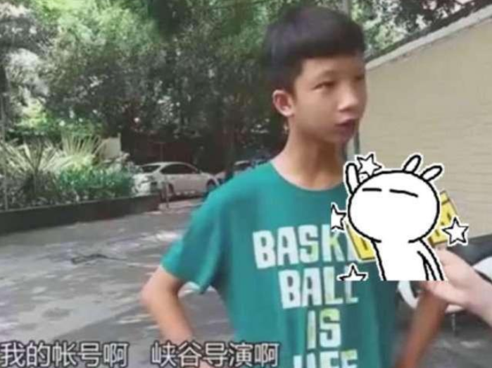 王者荣耀官方代练平台上线