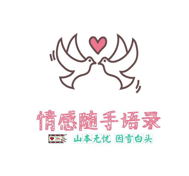 不想错过奇才与篮网的精彩较量