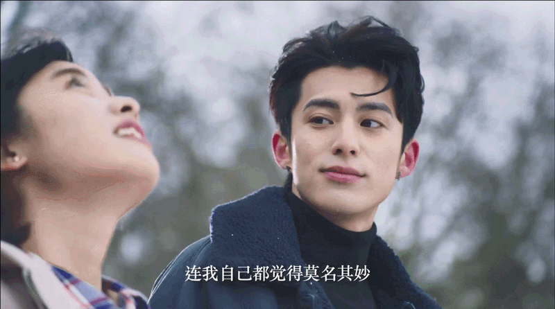 沈月、王鹤棣、官鸿、梁靖康、吴希泽 主演新版《流星花园》定档湖南