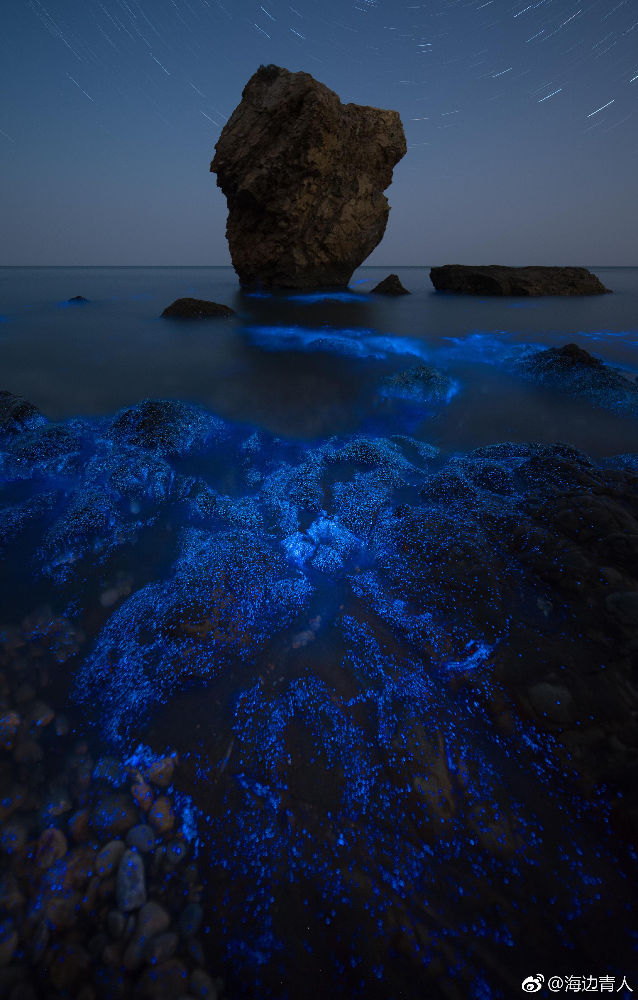 幻蓝夜海近午夜时分梦幻荧光随此起彼伏的海浪奔涌而出