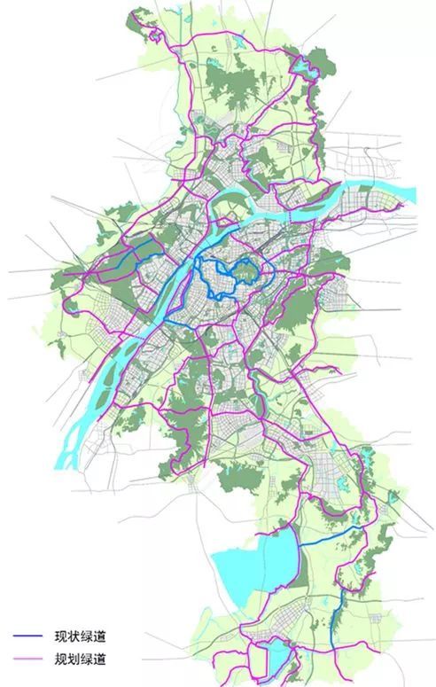 最新规划!南京将打造慢行系统,提高出行"体验值"