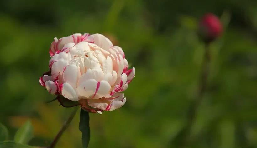 夜深人静睡不着的句子说说心情 表达失眠的经