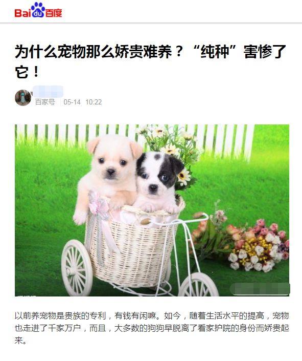 为什么你总把狗养死？答案全在这了