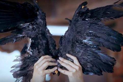 斗破苍穹，动漫版真人版大对比，前方斗帝,可敢下马与我一战?