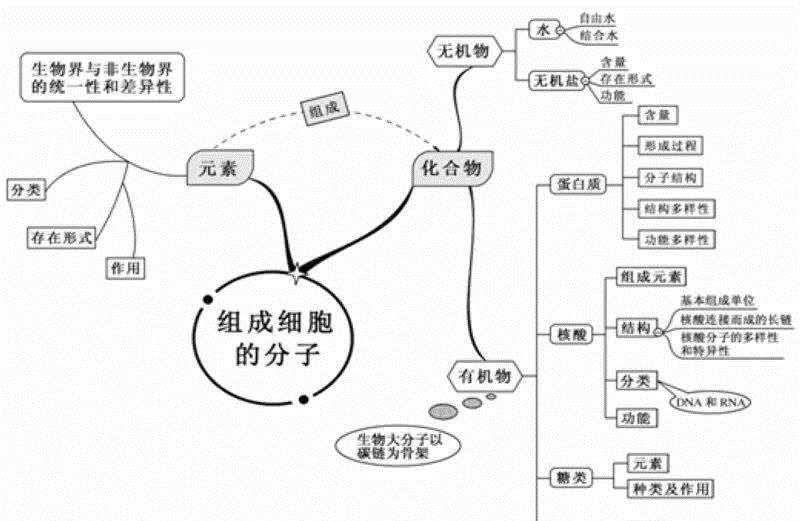 人口区位因素思维导图_工业区位因素思维导图(3)