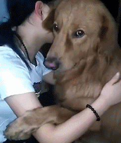 验证真正老司机的时候到了!