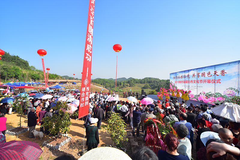 四川西充:首届牡丹文化节开幕 将持续到月底