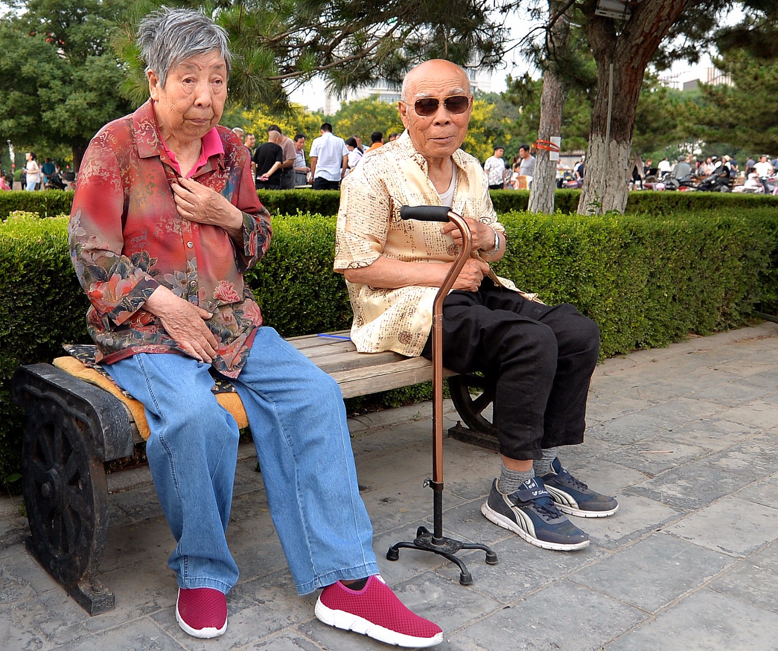 Elderly Man In Wheelchair Back View Picture And HD Photos | Free ...