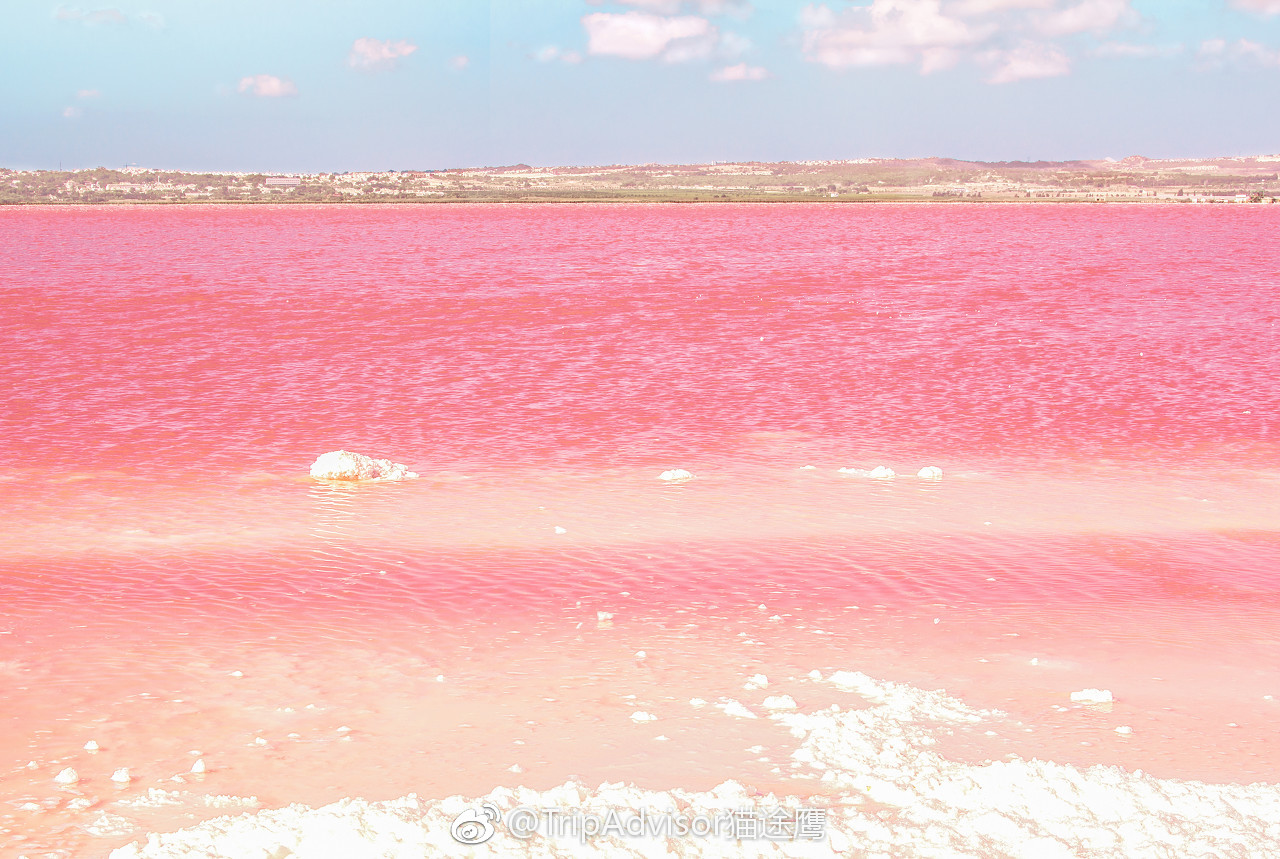 Ultra-Salty Lake Koyashskoye Is So Pink, It Looks Like Another Planet ...